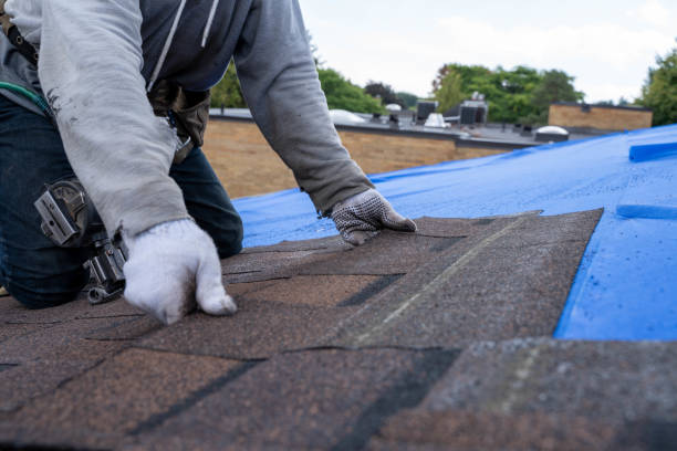 Best Emergency Roof Repair  in Waynesville, NC